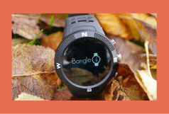 BangleJS